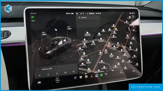 TESLA MODEL Y PERFORMANCE AWD