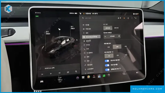TESLA MODEL Y PERFORMANCE AWD