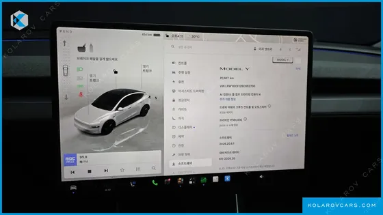 TESLA MODEL Y RWD