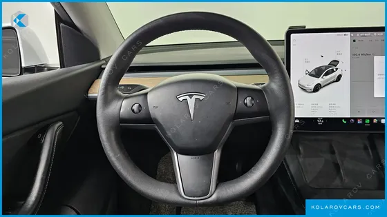 TESLA MODEL Y LONG RANGE AWD