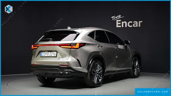LEXUS NX LUXURY