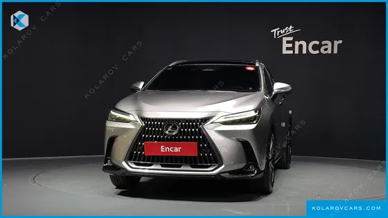 LEXUS NX LUXURY
