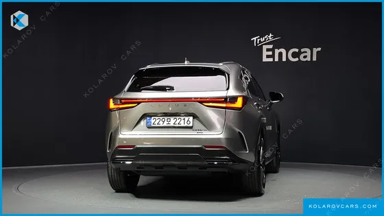 LEXUS NX LUXURY