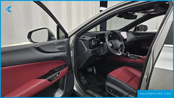 LEXUS NX LUXURY