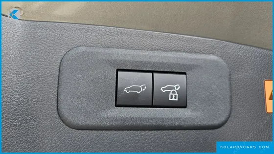 LEXUS NX LUXURY