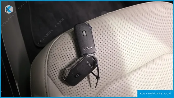 KIA NIRO EARTH
