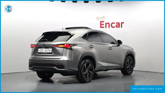 LEXUS NX EXECUTIVE