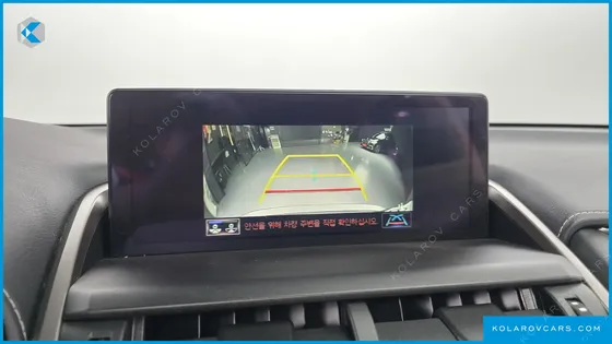 LEXUS NX EXECUTIVE