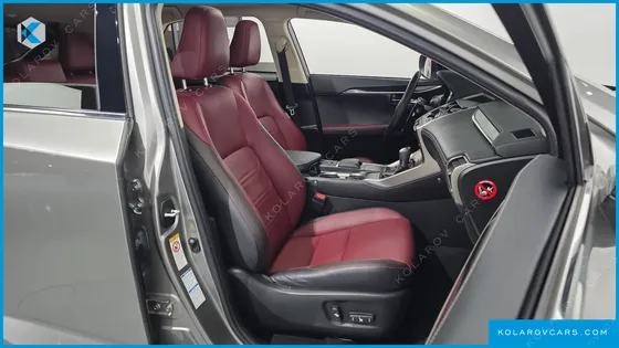LEXUS NX EXECUTIVE