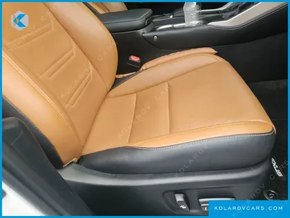 LEXUS NX EXECUTIVE