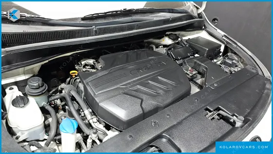 KIA CARNIVAL 9-SEATER HI-LIMOUSINE