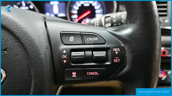 KIA CARNIVAL 9-SEATER HI-LIMOUSINE