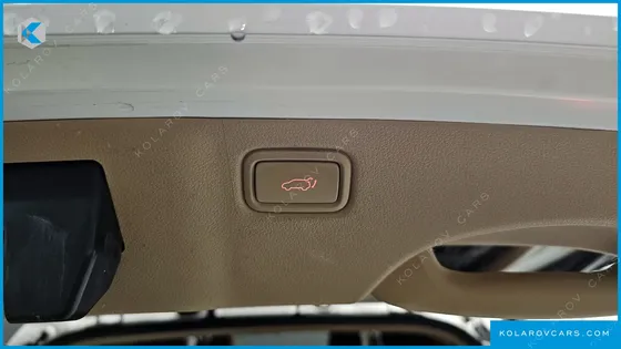KIA CARNIVAL 9-SEATER HI-LIMOUSINE