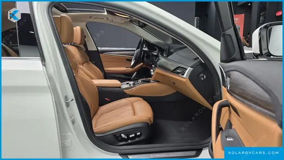 BMW 5 SERIES 530E LUXURY
