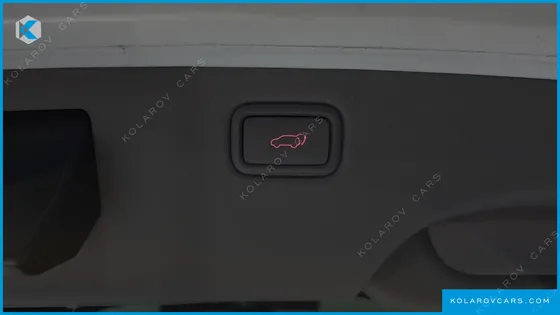 KIA CARNIVAL GASOLINE 9-SEATER NOBLESSE SPECIAL