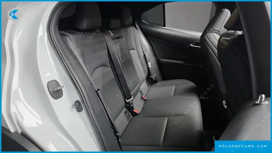 LEXUS UX 2.0 F-SPORT 2WD