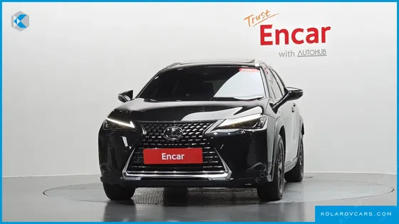LEXUS UX 2.0 2WD