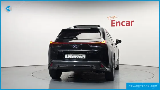 LEXUS UX 2.0 F-SPORT 2WD