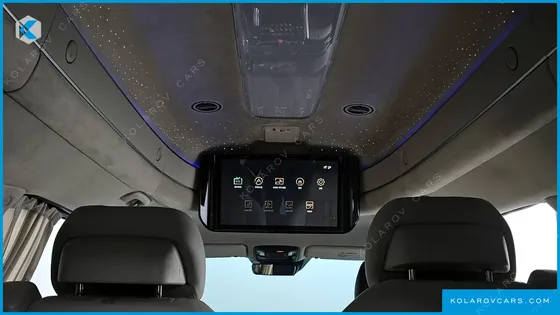 KIA CARNIVAL GASOLINE 9-SEATER LIMOUSINE(SPECIAL VEHICLE)