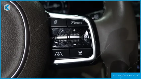 KIA CARNIVAL GASOLINE 9-SEATER HI-LIMOUSINE