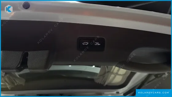 KIA CARNIVAL GASOLINE 9-SEATER HI-LIMOUSINE