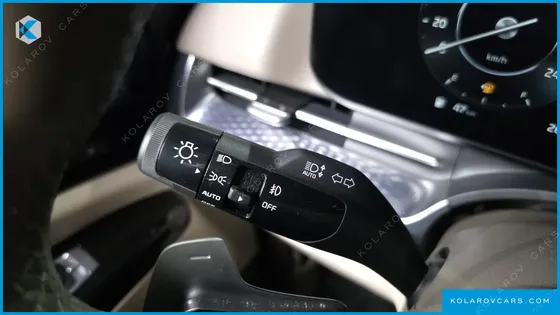 KIA CARNIVAL GASOLINE 9-SEATER HI-LIMOUSINE