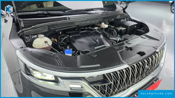 KIA CARNIVAL GASOLINE 9-SEATER HI-LIMOUSINE