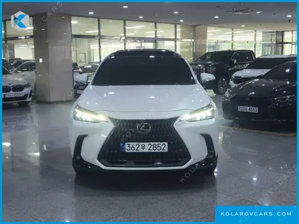 LEXUS NX LUXURY