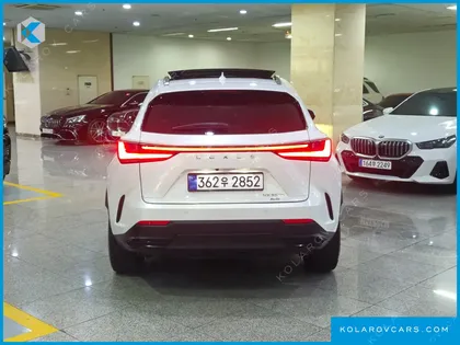 LEXUS NX LUXURY