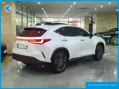 LEXUS NX LUXURY