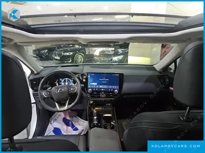 LEXUS NX LUXURY