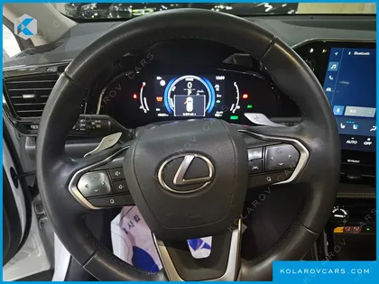 LEXUS NX LUXURY
