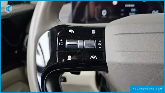 KIA CARNIVAL GASOLINE 9-SEATER HI LIMOUSINE