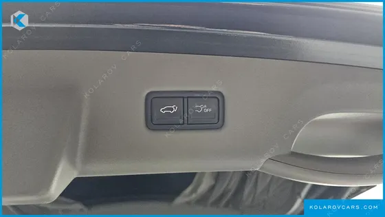 KIA CARNIVAL GASOLINE 9-SEATER HI LIMOUSINE