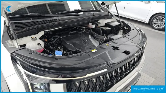 KIA CARNIVAL GASOLINE 9-SEATER SIGNATURE