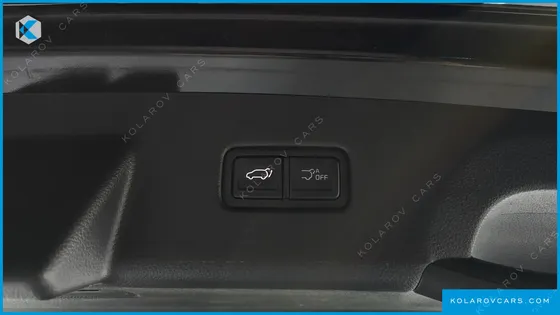 KIA CARNIVAL GASOLINE 9-SEATER NOBLESSE