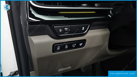 KIA CARNIVAL GASOLINE 9-SEATER SIGNATURE