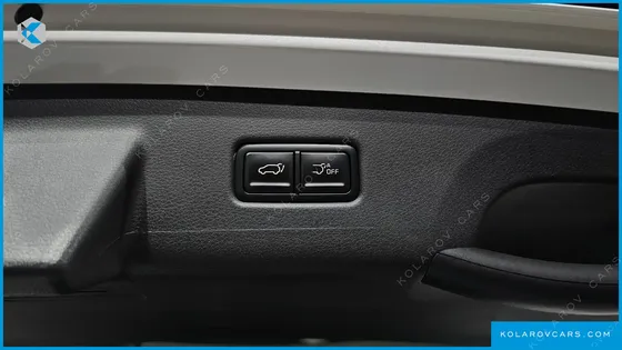 KIA CARNIVAL GASOLINE 9-SEATER SIGNATURE