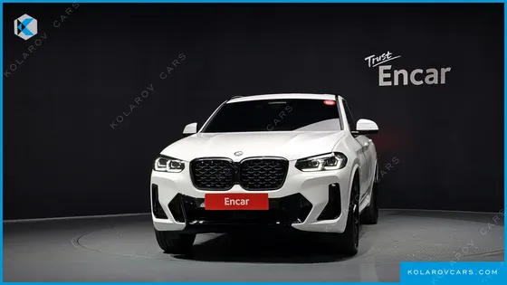 BMW X4 XDRIVE20I M SPORT PRO SPECIAL EDITION