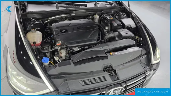 HYUNDAI SONATA 2.0 LPG(DISABLED PERSON)