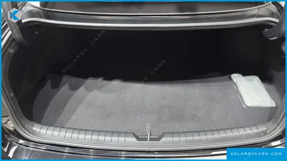 HYUNDAI SONATA 2.0 LPG(DISABLED PERSON)