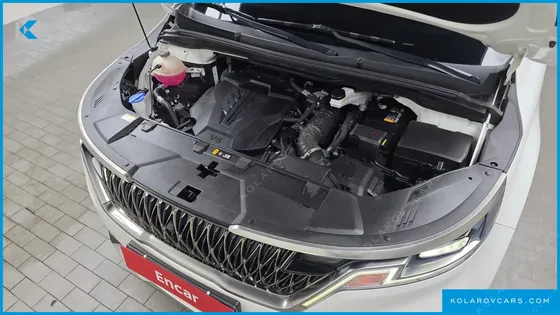 KIA CARNIVAL GASOLINE 9-SEATER SIGNATURE