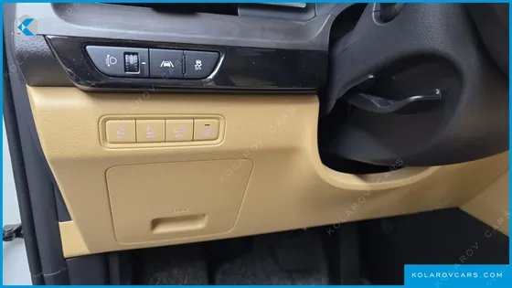 KIA CARNIVAL GASOLINE 9-SEATER SIGNATURE