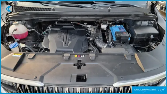 KIA CARNIVAL GASOLINE 7-SEATER HI-LIMOUSINE