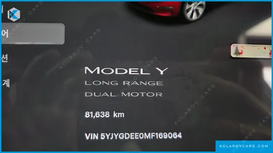 TESLA MODEL Y LONG RANGE AWD