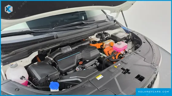KIA CARNIVAL HEV 9SEATER SIGNATURE