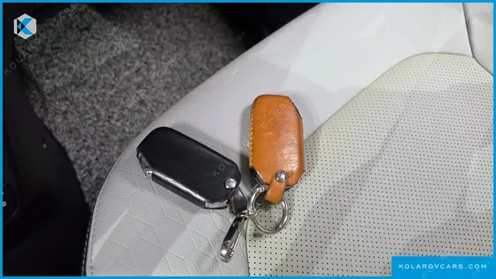 KIA RAY SIGNATURE