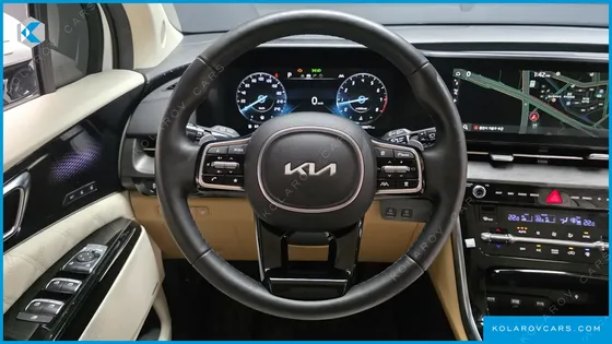 KIA CARNIVAL GASOLINE 9-SEATER LIMOUSINE(SPECIAL VEHICLE)