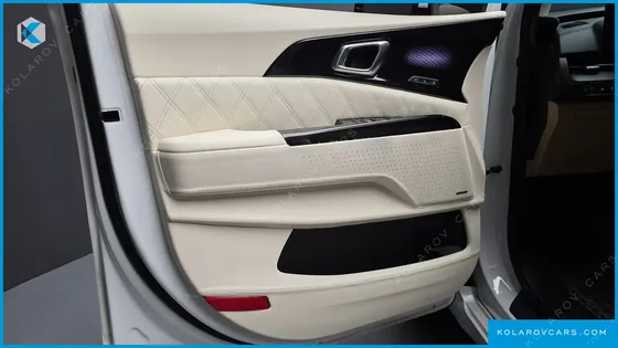 KIA CARNIVAL GASOLINE 9-SEATER LIMOUSINE(SPECIAL VEHICLE)