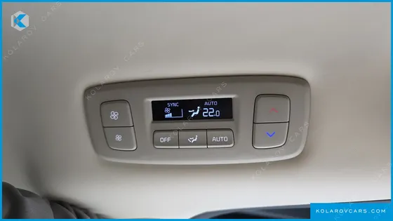 KIA CARNIVAL GASOLINE 9-SEATER LIMOUSINE(SPECIAL VEHICLE)